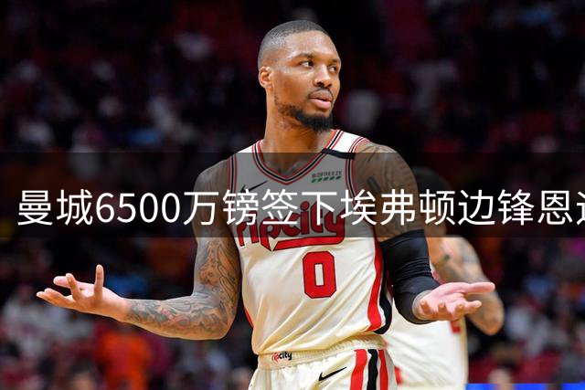 曼城6500万镑签下埃弗顿边锋恩迪亚耶 夏窗补强进攻线