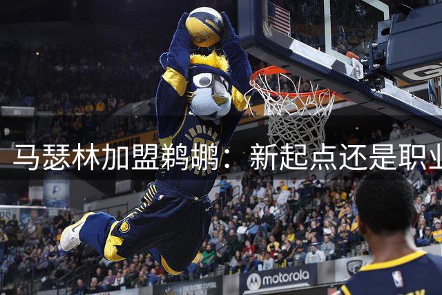 马瑟林加盟鹈鹕：新起点还是职业生涯转折点？